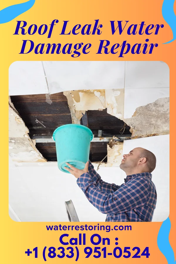 Roof Leak Water Damage Repair in Goshen, UT